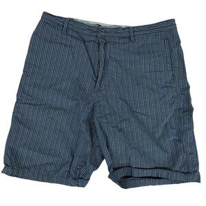 Tommy Bahama Paradise Nation Blue Striped Shorts, Mens Size 35